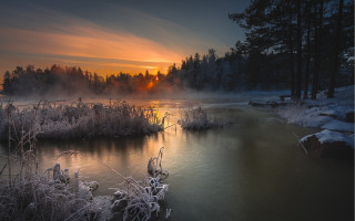 River sunset fog trees snow - a sunset in the background free wallpaper