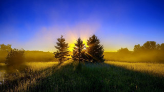 Crepuscular forest lake sunset puzzle - sunbeam free wallpaper for desktop