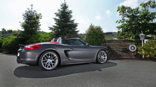 Grey sports car driveway tree - a grey sports car free wallpaper for desktop