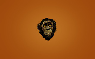 Monkey face orange background black - an orange background free wallpaper