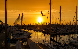 Sunset marina boats bird plane - free ship wallpaper