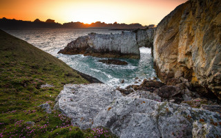 Rocky cliff water sunset flowers - a rocky cliff free wallpaper