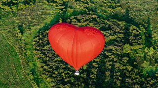 Heart balloon green field forest - photograph free wallpaper for desktop