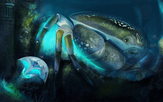 Turtle glowing biology fantasy underwater - bioluminescence free wallpaper