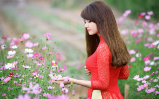 Woman red dress flower field 7 - a field of flowers free wallpaper