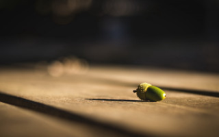 Small green object wooden table - shallow free wallpaper for desktop