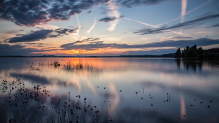 Sunset lake clouds foreground urban - a few plant free wallpaper