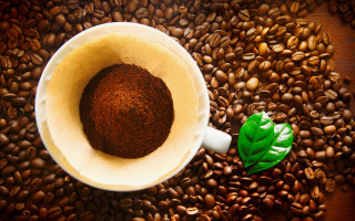 Coffee leaf beans food product - top of it next free wallpaper