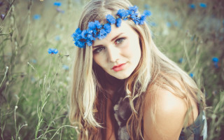Blue flower hair field portrait - blue flower free wallpaper for desktop