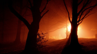 Foggy forest bench autumn light - atmospheric free wallpaper