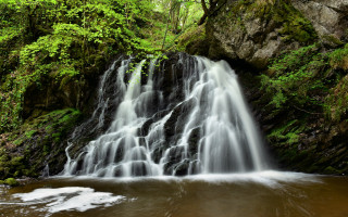 Waterfall forest river trees nature - a waterfall in a forest free wallpaper