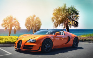 Bugatti parking lot ocean palm - luxury free wallpaper