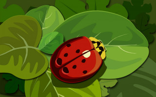 Ladybug green leaf ecological art - a green leafy plant free wallpaper