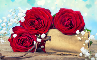Red roses wooden table flower 2 - red rose free wallpaper