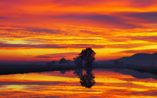 Tree reflection lake sunset mountain - a colorful sky in the background free wallpaper