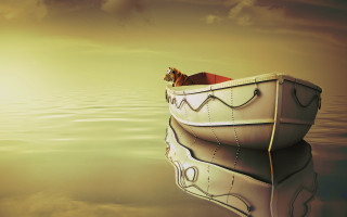 Cat boat floating water sky 2 - surreal photography free wallpaper for desktop