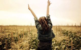 Woman cornfield raising arms outdoors - cinematic photography free wallpaper for desktop