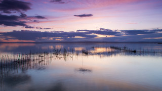 Water plants boats sky clouds - a sky free wallpaper for desktop