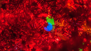Christmas tree blue ball green - chromatic aberration free wallpaper