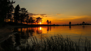 Sunset lake trees grass cityscape - the foreground and a body of water free wallpaper for desktop