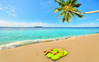 Flipflops beach starfish palm summer - a starfish free wallpaper for desktop