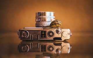 Snail camera coins macro vehicle - christian w. staudinger free wallpaper