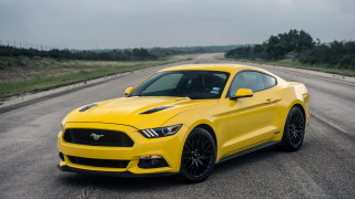 Yellow mustang rural road nature - rural free wallpaper