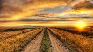 Dirt road field sunset cloudy 4 - a dirt road in a field free wallpaper