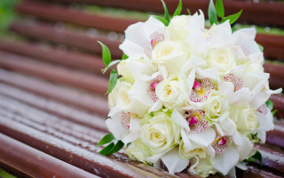 Bride bouquet rain water drops - cheng shifa free wallpaper