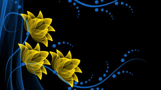 Black background yellow flowers blue - elizabeth murray free wallpaper