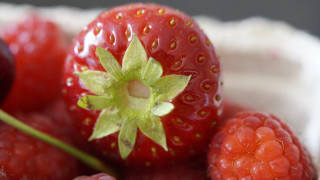 Strawberries raspberries bowl leaf macro - a bowl free wallpaper