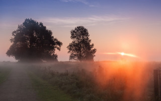 Foggy path trees fence sunset - the fog free wallpaper for desktop