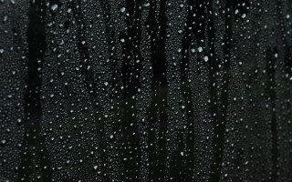 Rain drops window trees night - outside free wallpaper