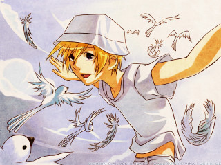 Boy hat bird flying around - a drawing of a boy free wallpaper