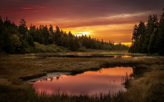 Sunset marsh pond trees clouds - a red sky free wallpaper