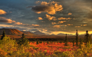 Sunset mountains forest cityscape clouds - tree and mountains free wallpaper for desktop