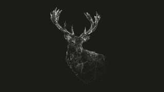 Deer lines antlers dark ai - a deer free wallpaper