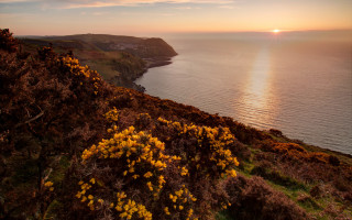 Lake hill autumn flower sunset - colin hayes free wallpaper