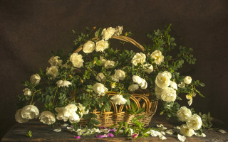 Basket flowers table dark roses - anne rigney free wallpaper
