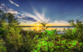 Sunset lake nature trees clouds - nature free wallpaper