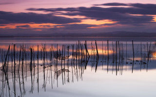 Lake sticks sunset purple sky - water free wallpaper for desktop