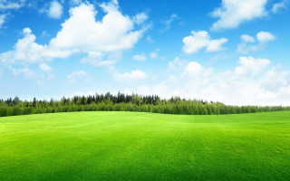 Green field trees blue sky 3 - a green field free wallpaper for desktop