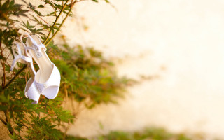 White shoes hanging tree leaves - a wall in the background free wallpaper