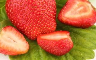 Strawberry leaf closeup bolwert food - strawberry free wallpaper
