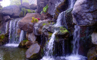 Waterfall rocks plants flowers cave - a few flower free wallpaper