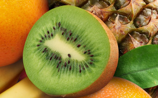 Kiwi sliced fruit leaves table - fructose free wallpaper