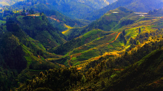 Valley trees train autumn landscape - dai xi free wallpaper for desktop