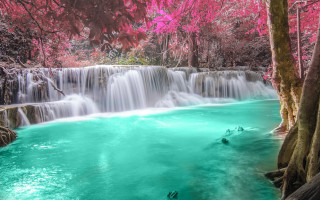 Waterfall pool trees pink flowers - a waterfall free wallpaper