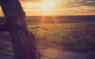 Tree trunk chain sunset clouds - edward otho cresap ord ii free wallpaper