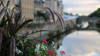 River flowers bridge building sky - a bridge in the background free wallpaper for desktop